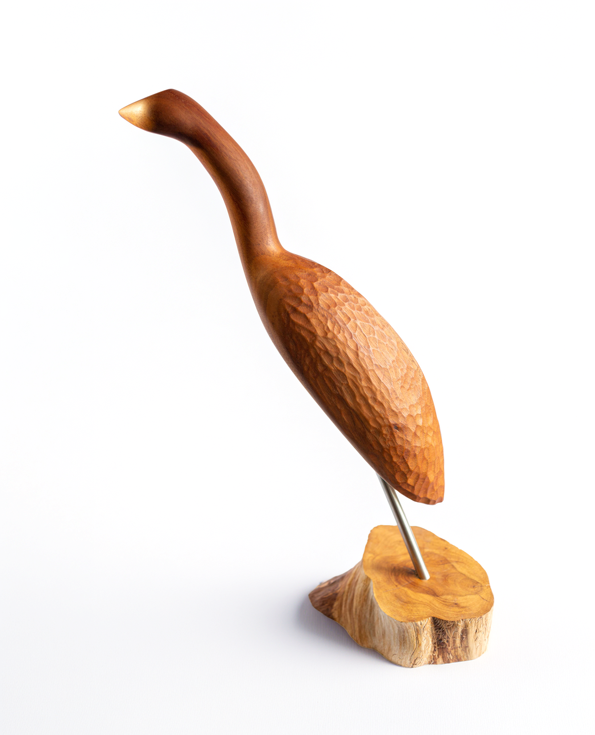 Flightless by Holly Kay Parsons — white-ground studio image